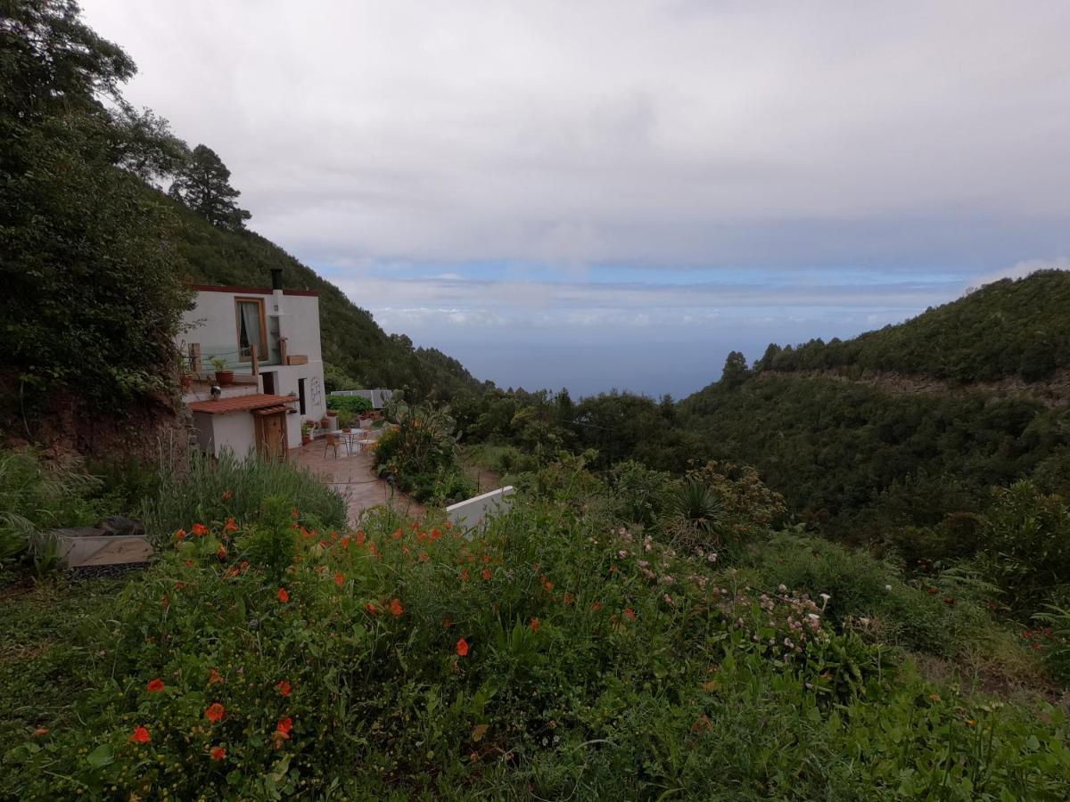 Freedom Villa El Tablado Eksteriør billede