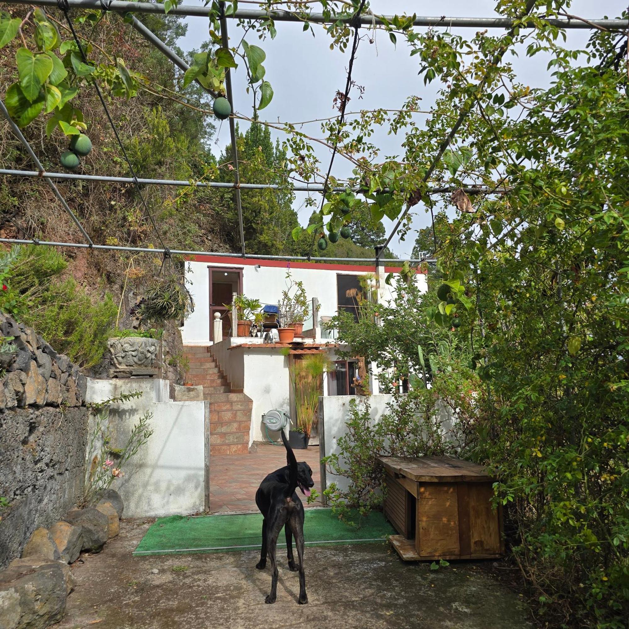 Freedom Villa El Tablado Eksteriør billede
