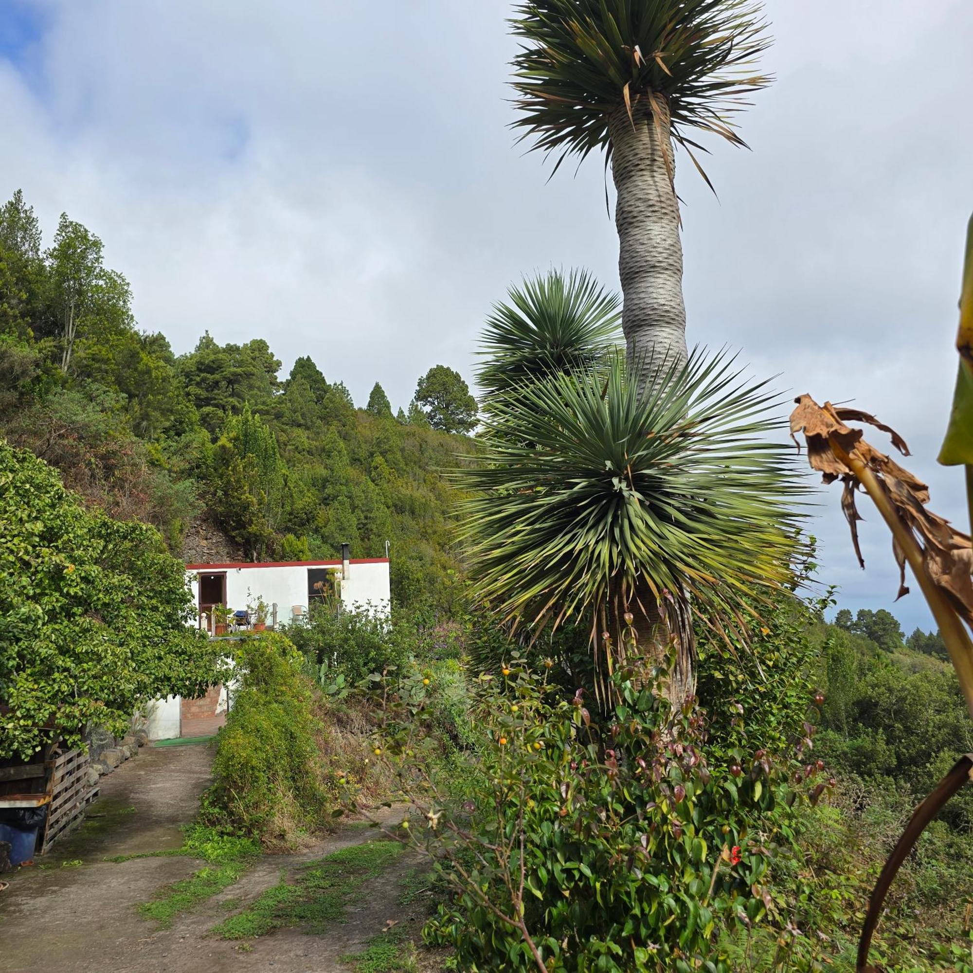 Freedom Villa El Tablado Eksteriør billede
